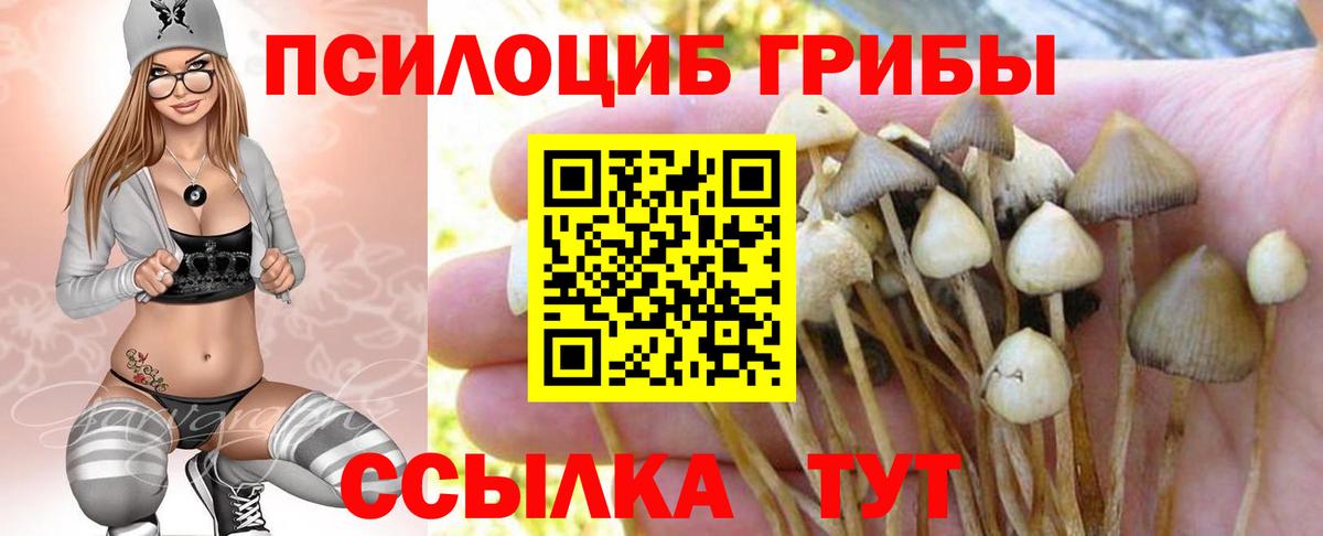 Псилоцибиновые грибы мухоморы  Вход с VPN  Псилоцибиновые грибы мицелий  Ачхой-Мартан 